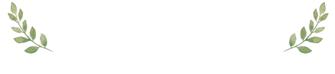 無料相談受付中 相談無料・予約制
